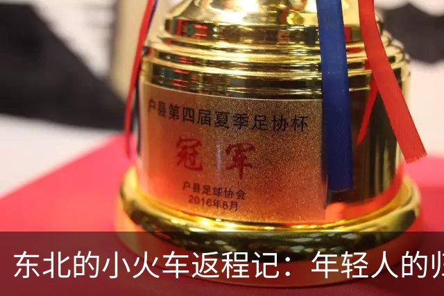 东北的小火车返程记：年轻人的归乡潮